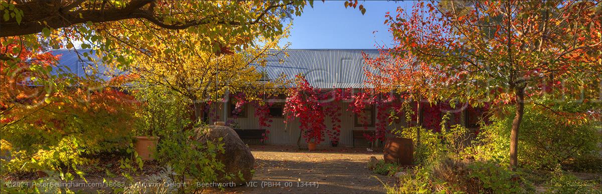 Peter Bellingham Photography Autumn Delight - Beechworth - VIC (PBH4 00 13444)